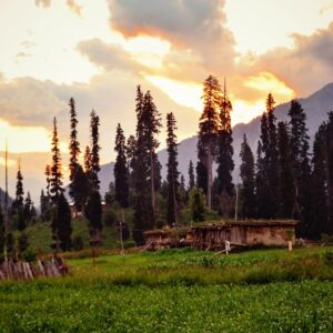Dream Kashmir 5N6D Vacation Package